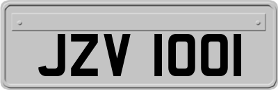 JZV1001