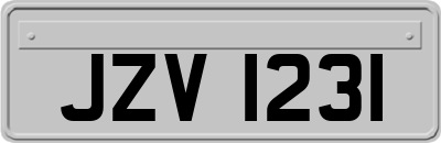 JZV1231