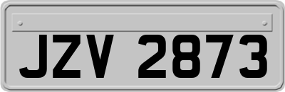 JZV2873