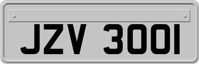 JZV3001