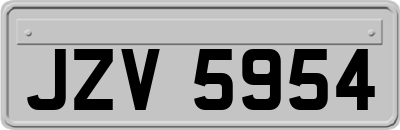JZV5954