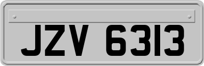 JZV6313