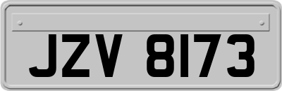 JZV8173