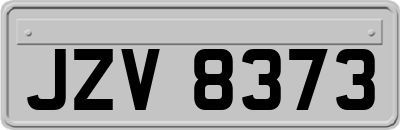 JZV8373