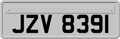 JZV8391