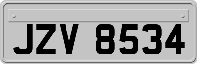 JZV8534