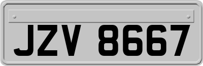 JZV8667