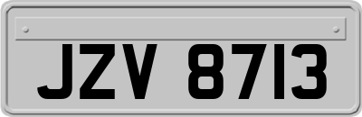 JZV8713
