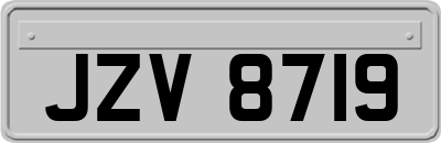JZV8719