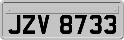 JZV8733