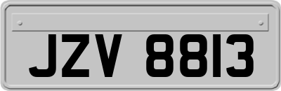 JZV8813