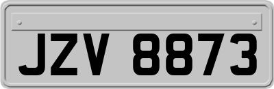 JZV8873