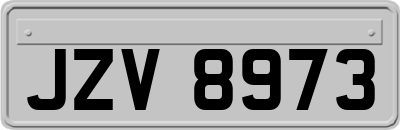 JZV8973