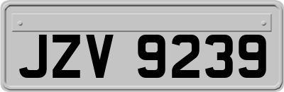 JZV9239