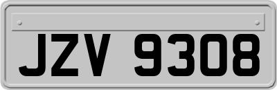 JZV9308