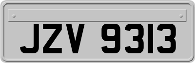 JZV9313