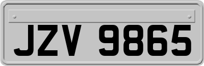 JZV9865