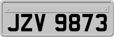 JZV9873