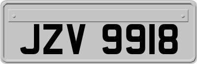 JZV9918