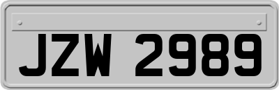 JZW2989