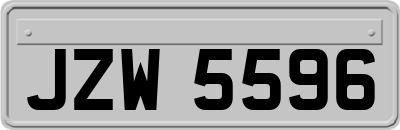 JZW5596