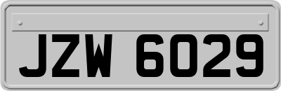 JZW6029