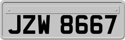 JZW8667