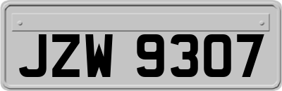JZW9307