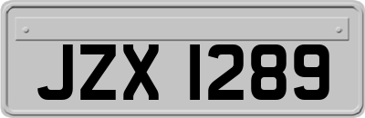 JZX1289
