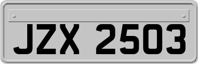 JZX2503