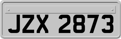 JZX2873
