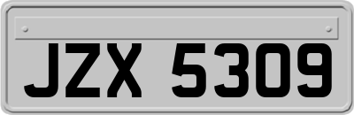 JZX5309
