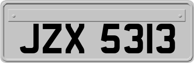 JZX5313