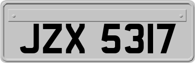 JZX5317