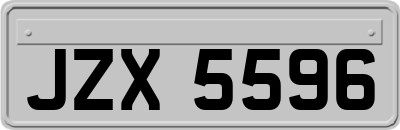 JZX5596