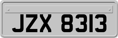JZX8313