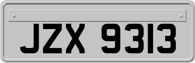 JZX9313