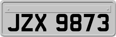 JZX9873