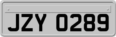JZY0289
