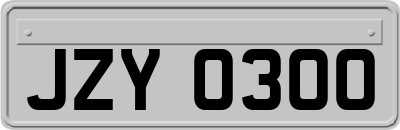 JZY0300
