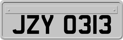 JZY0313