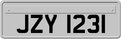 JZY1231