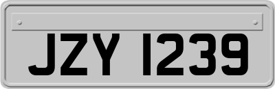 JZY1239