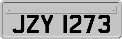 JZY1273