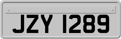 JZY1289
