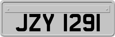 JZY1291