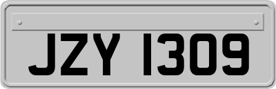 JZY1309