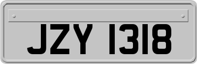 JZY1318