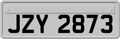 JZY2873