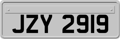 JZY2919